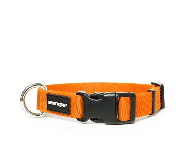 Mystique® Nylon collar profi 25mm