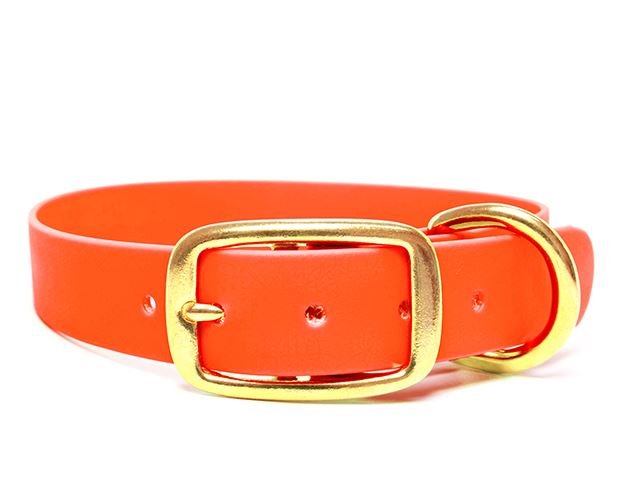 Biothane_collar_deluxe_brass_neon_orange_small_web