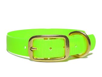 Biothane_collar_deluxe_brass_light_green_gold_small_web
