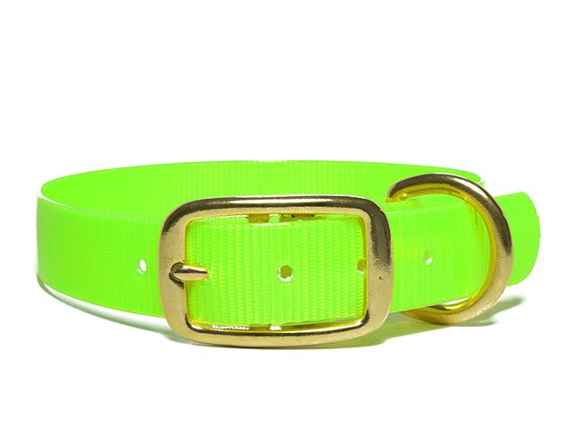Biothane_collar_deluxe_brass_light_green_gold_small_web