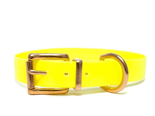 Biothane_collar_classic_brass_yellow_gold_small_web