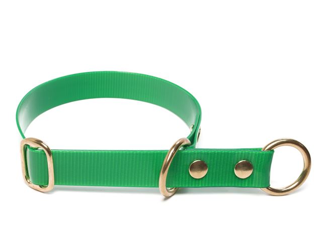 Biothane_half_choke_collar_solid_brass_gold_green_small_web