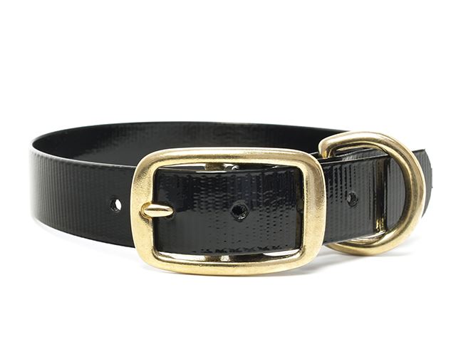 Biothane_collar_deluxe_brass_black_gold_small_web