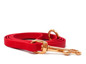 Biothane_leash_9_13mm_sewn_red_brass_snap_hook_small_web