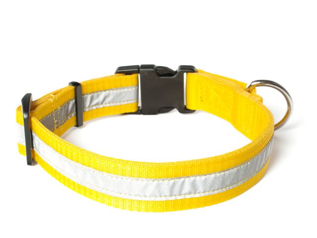Nylon_collar_profi_reflective_yellow_02_small_web
