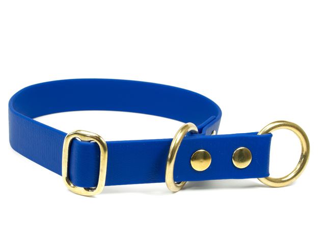 Biothane_half_choke_collar_solid_brass_blue_small_web