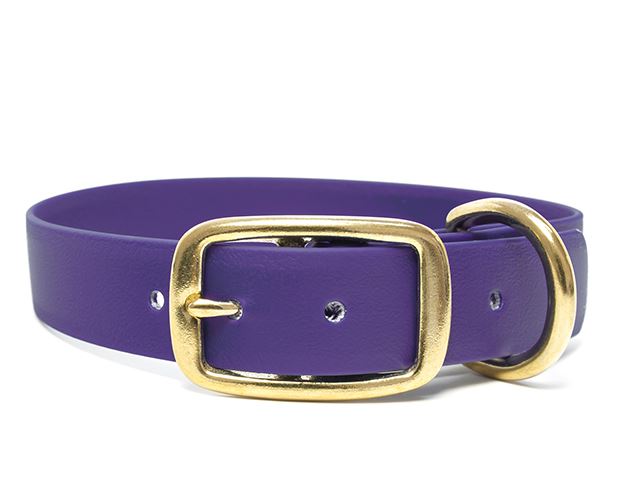 Biothane_collar_deluxe_brass_lila_small_web