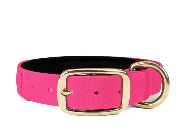 Hexa_collar_brass_deluxe_neon_pink_neoprene_small_web