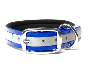 Biothane_collar_deluxe_neopren_gold_reflective_blue_small_web (78)