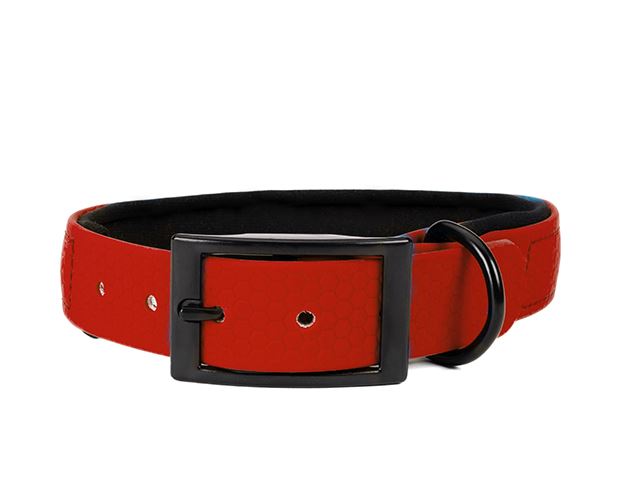 Hexa_collar_black_deluxe_red_neoprene_small_web