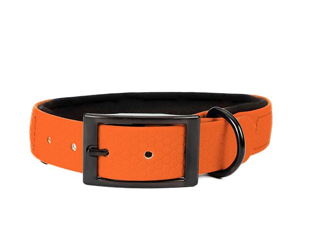 Hexa_collar_black_deluxe_neon orange_neoprene_small_web