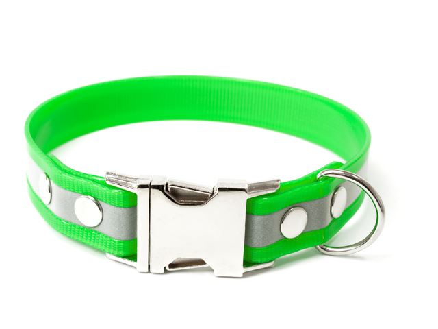 Biothane_collar_click_reflex_green_small_web