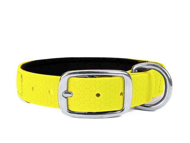 Hexa_collar_rustproof_deluxe_neon_yellow_neoprene_small_web