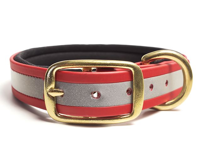 Biothane_collar_deluxe_neopren_reflect_brass_red_beta_small_web