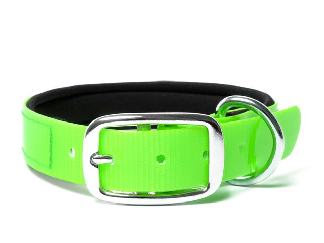 Biothane_collar_deluxe_neopren_gold_light_green_small_web