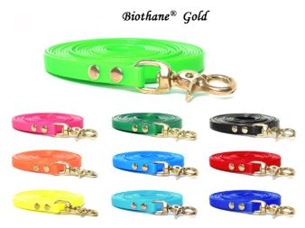 Biothane_tracking_leash_riveted_13mm_brass_trigger_hook_all_colours_small_web