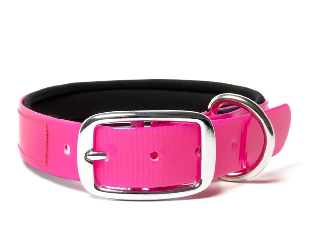 Biothane_collar_deluxe_neopren_gold_pink_small_web