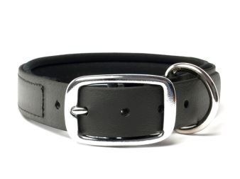 Biothane_collar_deluxe_neopren_black_small_web