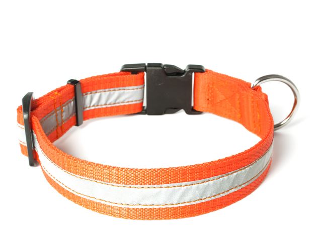 Nylon_collar_profi_reflective_neon_orange_02_small_web