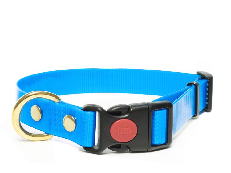 Biothane_collar_safety_click_solid_brass_light_blue_big_web