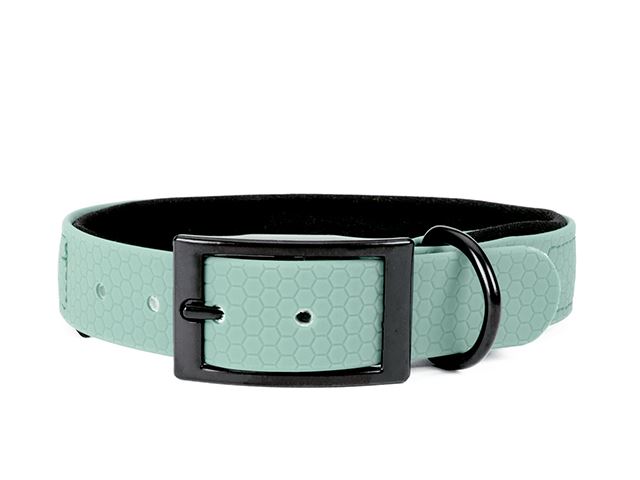Hexa_collar_black_deluxe_baby_blue_neoprene_small_web