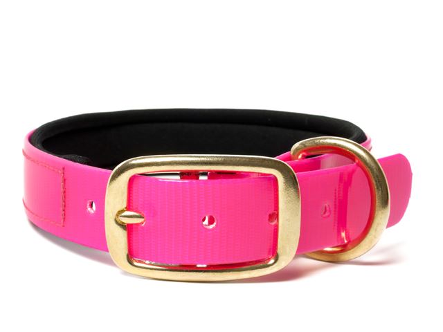 Biothane_collar_deluxe_brass_neopren_gold_pink_small_web
