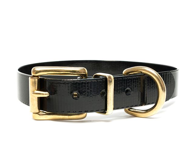 Biothane_collar_classic_brass_black_gold_small_web