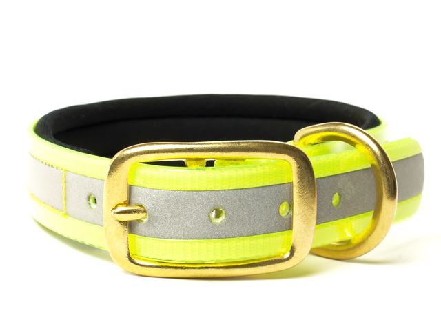 Biothane_collar_deluxe_brass_neopren_gold_reflective_yellow_small_web