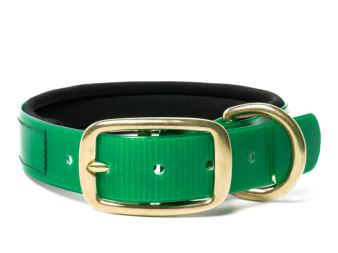Biothane_collar_deluxe_brass_neopren_gold_green_small_web