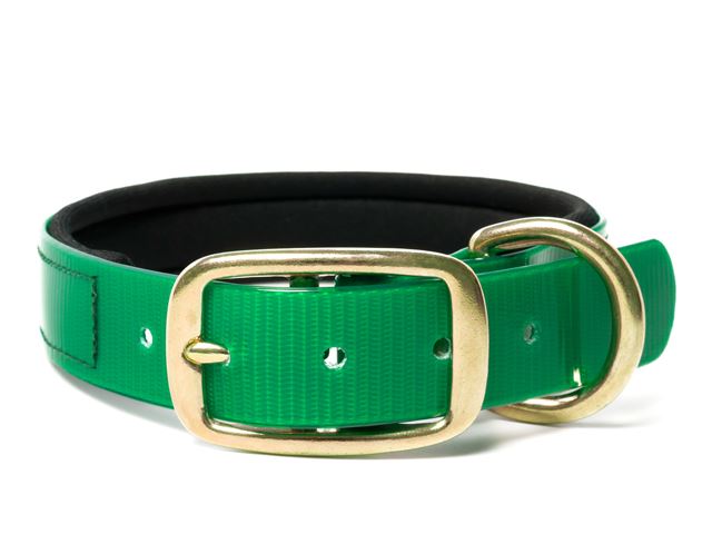 Biothane_collar_deluxe_brass_neopren_gold_green_small_web