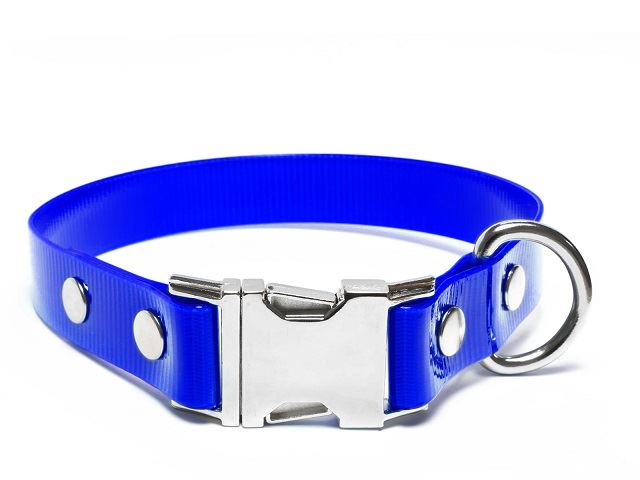 Biothane_collar_click_gold_blue_small_web