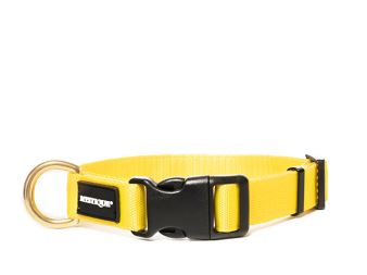 Nylon_collar_profi_30mm_solid_brass_yellow_small_web