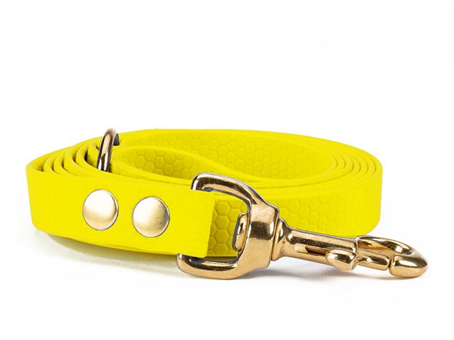 Hexa_leash_16_19mm_brass_riveted_neon_yellow_small_web