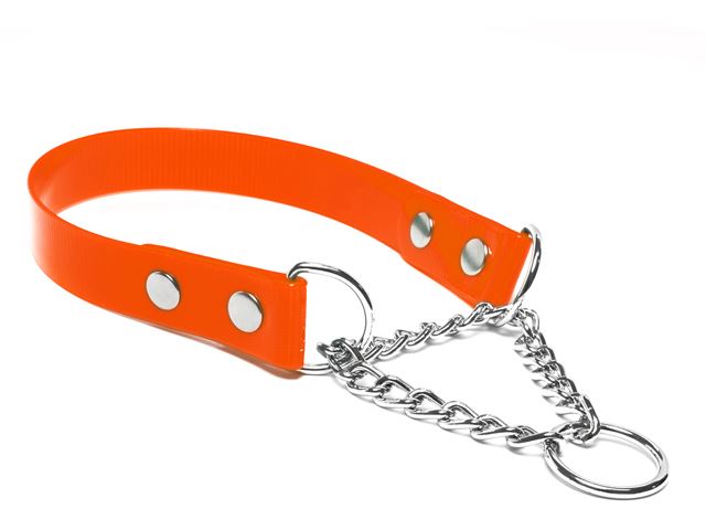 Biothane_martingale_collar_gold_orange_small_web