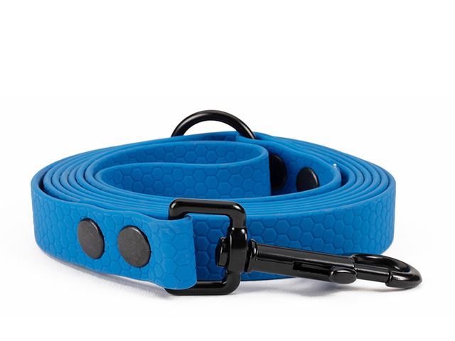 Hexa_leash_16_19mm_blue_riveted_black_snap_hook_small_web