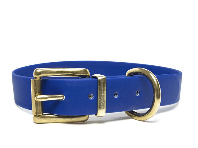 Biothane_collar_classic_brass_blue_small_web