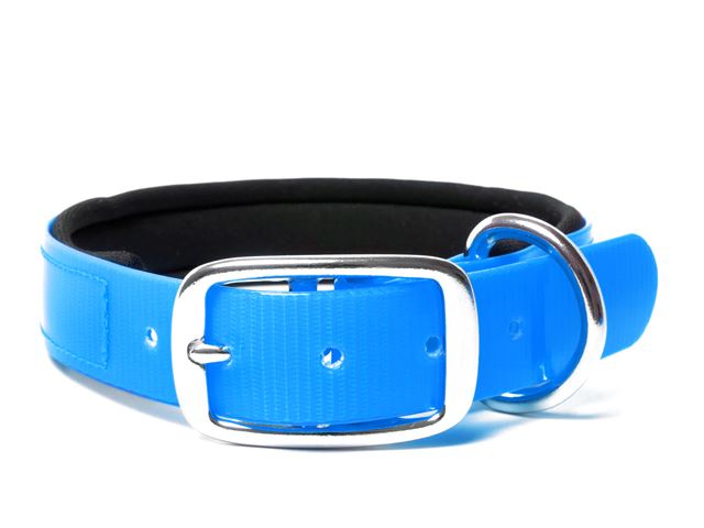 Biothane_collar_deluxe_neopren_gold_light_blue_small_web