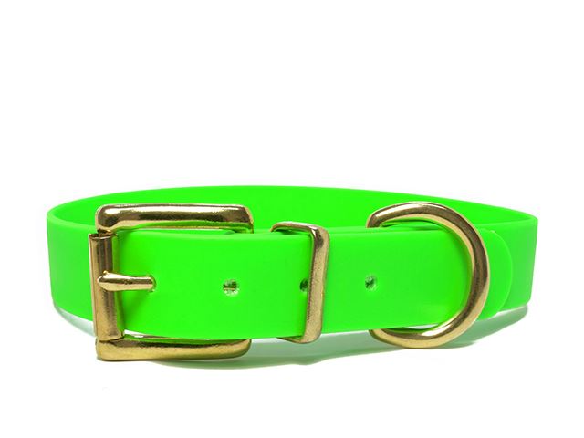 Biothane_collar_classic_brass_neon_green_small_web