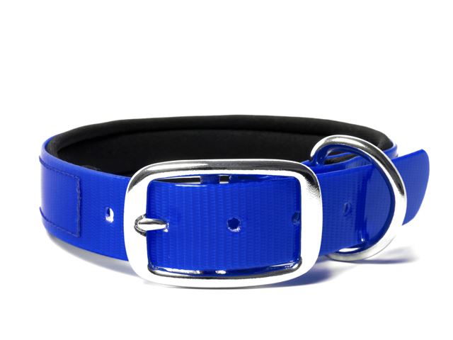 Biothane_collar_deluxe_neopren_gold_blue_small_web