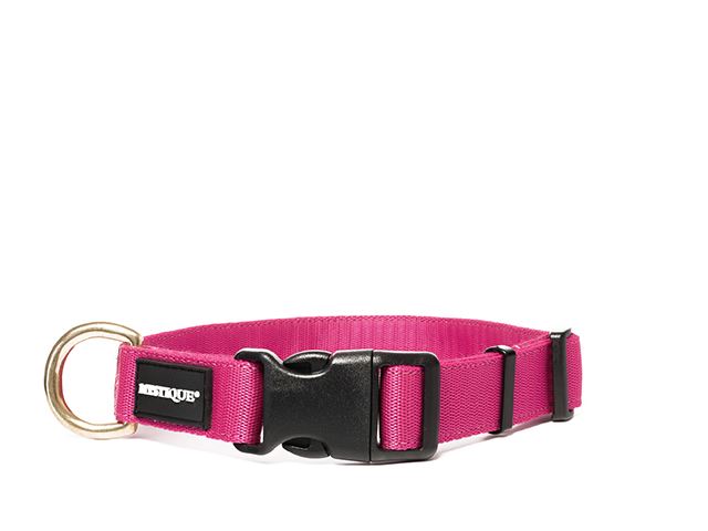 Mystique® Nylon Halsband Profi 25mm