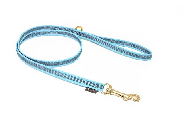 Rubbered_leash_12_15mm_brass_with_HG_light_blue_small_web