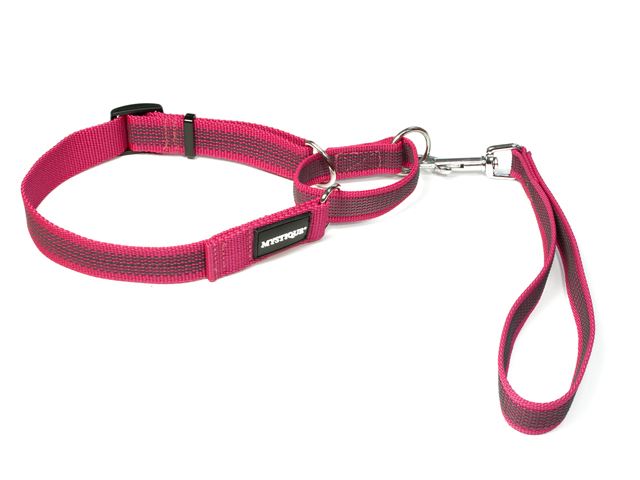 Rubbered_agility_leash_purple_small_web