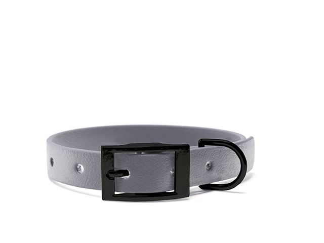 Biothane_collar_25mm_black_deluxe_grey_big_web