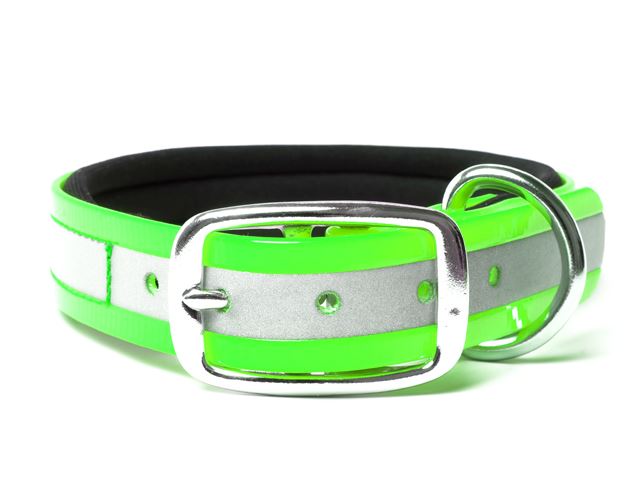 Biothane_collar_deluxe_neopren_gold_reflective_green_small_web