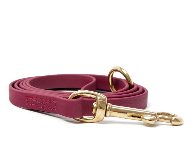 Biothane_leash_9_13mm_sewn_winered_brass_snap_hook_small_web