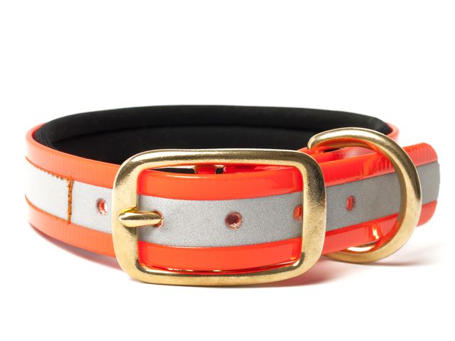 Biothane_collar_deluxe_brass_neopren_gold_reflective_orange_small_web