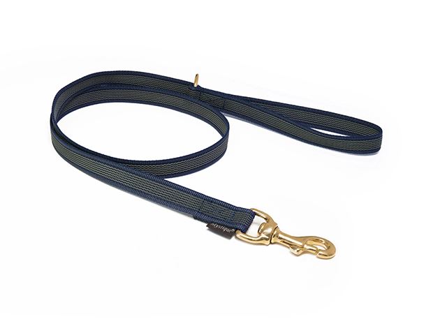Rubbered_leash_20mm_brass_with_HG_royal_blue_small_web