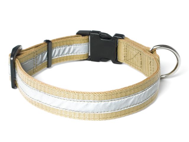 Nylon_collar_profi_reflective_beige_02_small_web