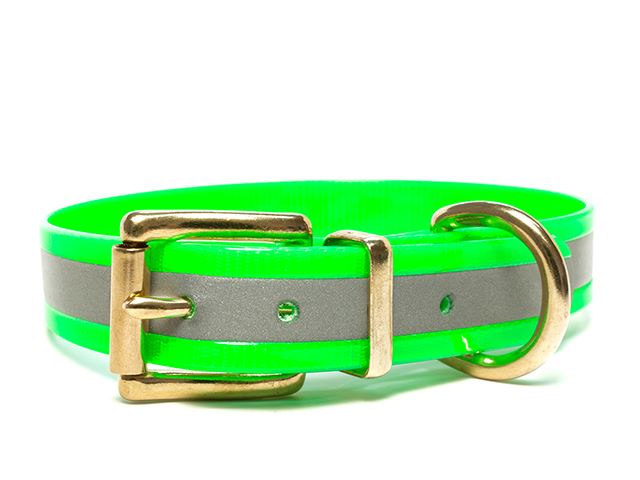 Biothane_collar_classic_brass_reflex_green_gold_small_web