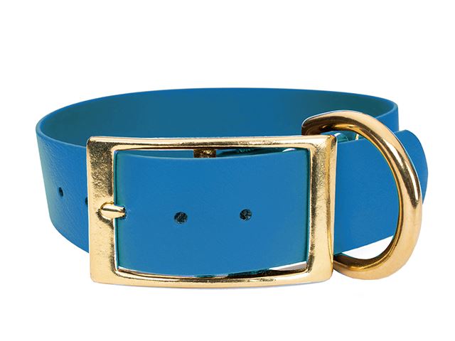 Biothane_deluxe_collar_38mm_light_blue_brass__small_web
